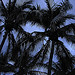 Boca Raton, Florida