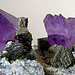 Amethyst - Massachusetts