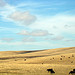 South Dakota.