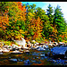 Vermont or New Hampshire Foliage
