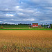 october days in wisconsin (part i)