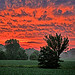 Good Morning Missouri