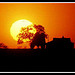 Kansas Farm at Dusk