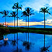 Blue Hawaii