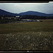 Farmland along the upper Delaware River in New York state (LOC)