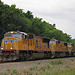 UP 4954 Northbound at Derry, Louisiana (1)