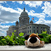 Bebbi in Providence, Rhode Island- USA