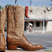 Texas