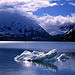 Iceberg leftovers, Alaska Icecubes