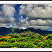 Honolulu Hawaii