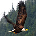 Alaska: Land of the free