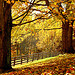 Fall in Kentucky