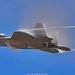 Lockheed Martin F-22A Raptor 06-0120 from Nellis Air Force Base Nevada 422nd Test and Evaluation Squadron Raptor Demo Team at the Miramar Air Show 2008