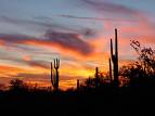 Arizona