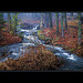 Flanders Brook, Maine USA - HDR