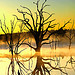 Seminole State Park, Georgia