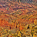 Canyon Floor Colorado River Sunset