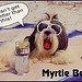 Postcard: Myrtle Beach, South Carolina