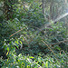 :: Find - Eco Tourism Bandhavgarh GTV Resort