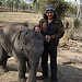 :: Find - Elephant Child (6 Months Age) - Bandhavgarh GTV Resort