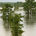 LOUISIANA