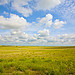 South Dakota