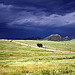 Colorado Meadows