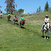 Crystal Waters Guest Ranch