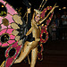 Walt Disney World - SpectroMagic