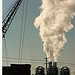 "NO SMOKING BANS ARE A JOKE: NO SMOKING IN NEW YORK CITY BARS...