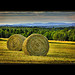 Bales of Hay, Maine Highlands