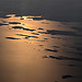 Maine Coast: Casco Bay