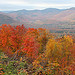 New Hampshire Red