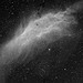 California Nebula