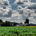 Pennsylvania Farmland