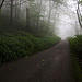 Black Mountain, Kentucky