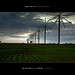 Iowa Wind Farm