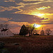 Sunset over the Hummelbaugh Farm, Gettysburg, Pennsylvania