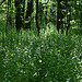 Wisconsin Outdoor Tourism