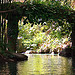 the beginnings of a leisurely jungle cruise
