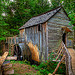 Cable Grist Mill ~ Cades Cove Tennessee