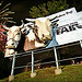minnesota state fair