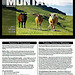 Montana Magazine | Media Guide