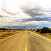 New Mexico