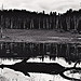 Reflections - New Mexico