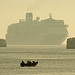 Cruise liner and fishing boat