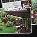 Welcome to the Garden Villa Phuket-Medium