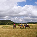 Horseback Riding at Running-R Guest Ranch