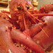 Maine Lobster from Eric