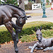 Kentucky Horse Park